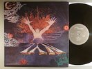 NYL  Self-Titled   French Prog Psych With Janick Top Magma  Rare LP  Frech Press