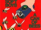 Soft Boys, The - a can of bees