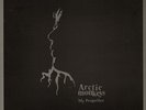 ARCTIC MONKEYS MY PROPELLER 10