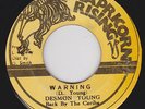 DESMOND YOUNG - WARNING 