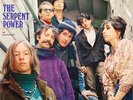 THE SERPENT POWER • 1967 STEREO LP VANGUARD VSD 79252   NM