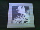 Void Vision ?Sub Rosa LP Neu