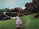 TREES On The Shore 180G Vinyl LP NEW & SEALED