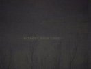 oOoOO  Without Your Love  LP NEW VINYL Nihjgt Feelings Knife Salem Glass Candy