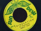 CR14  SHICH MAN & SOUL SYNDICATE-TRIBULATION-SUN DEW-1978 REGGAE 45 7
