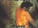 Bruce Springsteen The Ghost Of Tom Joad NEAR MINT Columbia Vinyl LP