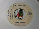 45 RPM l SURF/TEENER : Mike Harris & the Hi-Tides - HEAR