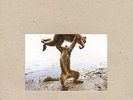 Shellac - dude incredible