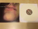 PJ Harvey Polly Jean Harvey -  DRY 1992  LP Album, Reissue 2013 with White Vinyl