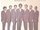 Sensational Golden Sons - Because He Lives LP - HSE - Soul Funk Gospel VG+ MP3