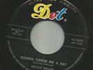POPCORN R&B NORTHERN SOUL- MILTON TRENIER--GONNA CATCH ME A RAT --HEAR - DOT