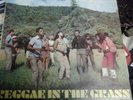 reggae in the grass. lp . studio one. various artists.