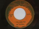 1966 Garage Rock 45 THE PROPHETS I Still Love You  SHELL 1005  LISTEN