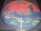 PINK FLOYD More Soundtrack vinyl LP unplayed PICTURE DISC