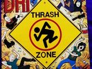 D.R.I. Thrash Zone 12