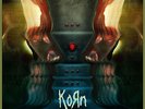 rare KORN the paradigm RSD Black Friday SEALED 2014 PICTURE DISC 2-LP Bonus cut