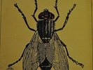 LA MOSCA ( The Fly ) NPK2 Spanish Prog Psych 1st Pres LP 1970  Pekenikes