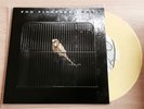FOO FIGHTERS - D.O.A   7