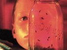 Alice In Chains - Jar Of Flies/Sap [Vinyl New]