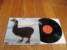 WEB - I SPIDER  - EX++ UK Prog Psych LP - 1970 Orig GERMAN Press - POLYDOR