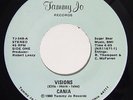 Rare Ohio Modern Soul 45 CANIA Visions on Tammy Jo M-