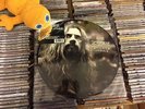 Rob Zombie Educated Horses limited picture disc vinyl