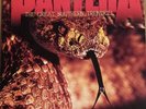 Pantera LP - the great southern trendkill