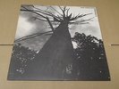 ONE EYED GOD PROPHECY S/T LP The Great American Steak Religion 1996 Econochrist