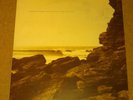 RARE POLYGON WINDOW - SURFING ON SINE WAVES 2XLP WARPLP7 1993 VG++