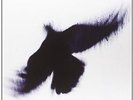 Fallen Host - Blueneck (2012, Vinyl NEW)