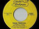 Orchestra Capri 