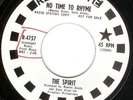 The Spirit No time to rhyme US 60s Garage psych 45 Pebbles on Roulette LISTEN