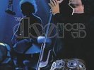 Doors, The - ABSOLUTELY LIVE