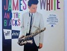 James White & the Blacks Off White LP VG+/NM 1979 Promo Contortions No Wave