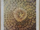 KING CRIMSON - CAT FOOD OG UK ISLAND 45 + PICTURE SLEEVE
