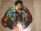 QUEEN, FREDDIE MERCURY, Made In Heaven ( SHAPED PIC DISC) May, Taylor.