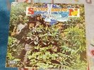 LP-Rarität statt 60.-€ ab 1.-€ SAVOY BROWN …A Step Further ‘69 LP-Gelegenheiten