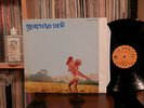 EX/EX+ Morning Dew Orig German Roulette Records Psych Monster LP BEST SOUND 1971