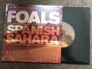 Foals Spanish Sahara 7