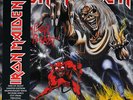IRON MAIDEN  The number of the beast  LP  /  PICTURE DISC