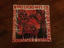 Jon Spencer Blues Explosion Melvins – Black Betty 7