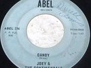 Joey & The Continentals-No One Can Make My Sunshine Smile/Candy GARAGE SURF 45