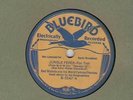78 RPM Red Nichols buff Bluebird B-5547 in V+E-