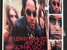 Lenny Kravitz Are You Gonna Go My Way LP & CD ORIG 1993 U.S. Virgin No Reserve