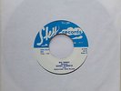 BOBBY Roberts BIG SANDY Rockabilly 45 Seventies REISSUE and Rare