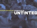 UNTINTED/THE SOURCES FOR MADLIB'S SHADES OF BLUE 2 VINYL LP NEW