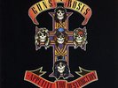 GUNS N ROSES APPETITE FOR DESTRUCTION NEW SEALED 180G VINYL LP IN STOCK