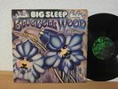 BIG SLEEP BLUEBELL WOOD 1971 TOP RARE PROGRESSIVE 1ST PRESS