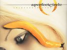 A Perfect Circle - Thirteenth step Vinyl US 2LP