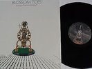 LP BLOSSOM TOES If Only For A Moment - Re-Release - Akarma AK 351- STILL SEALED